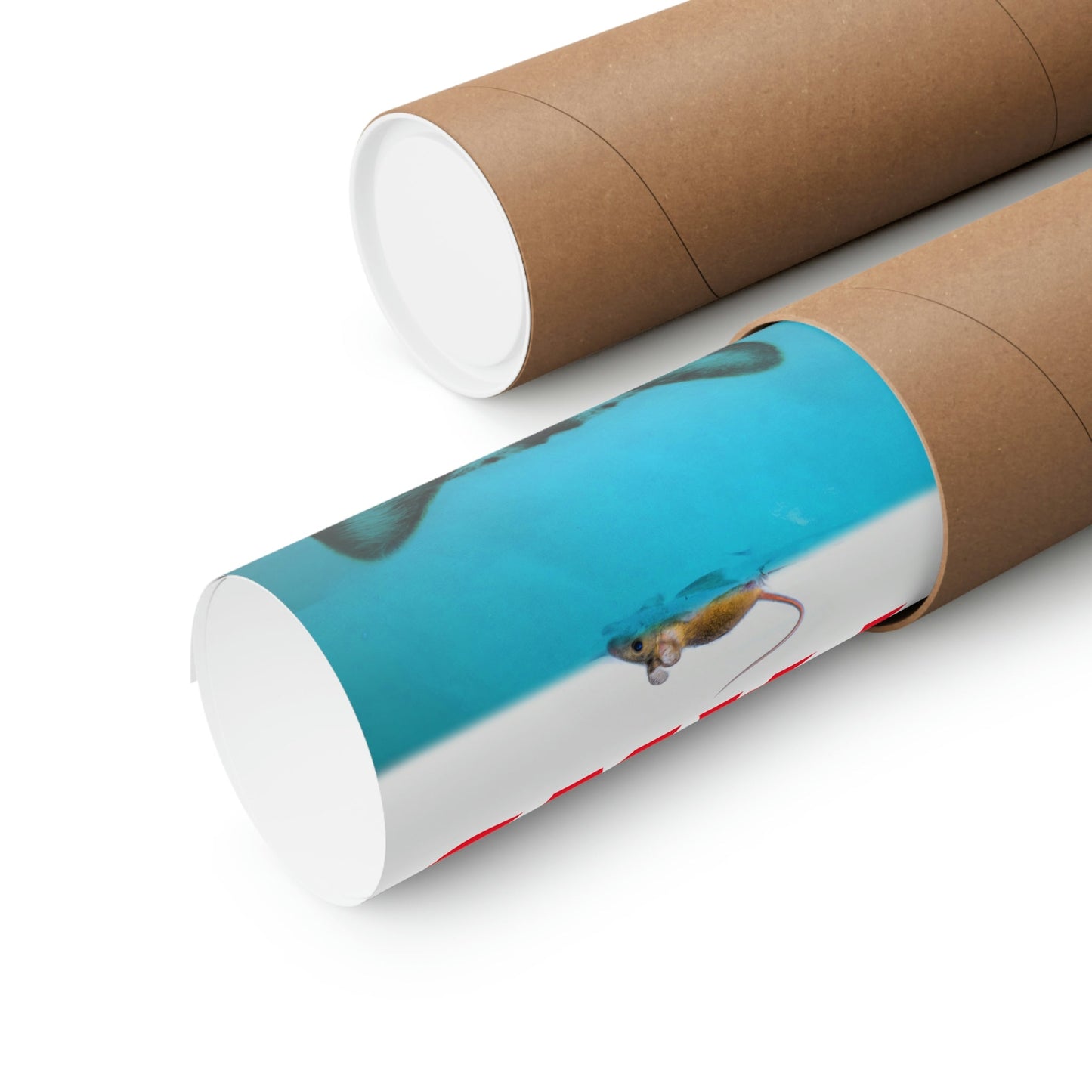 Skorter | and Mouse Movie Theme Poster