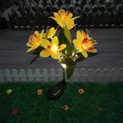 Skorter | Solarspectra - 7-Cup Solar Lamp