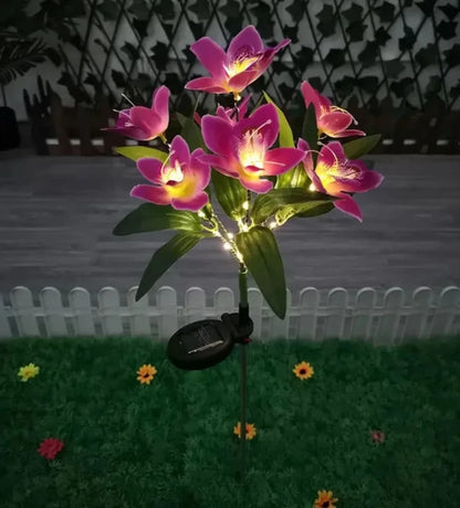Skorter | Solarspectra - 7-Cup Solar Lamp