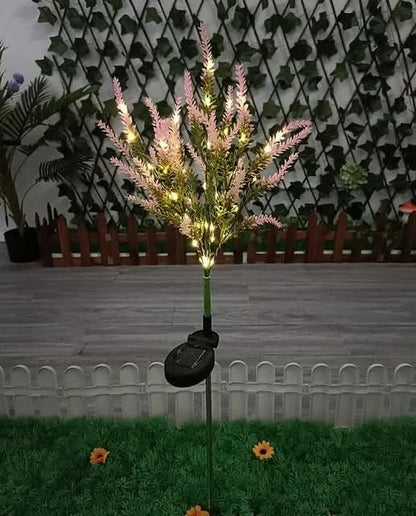 Skorter | Solarspectra - 7-Cup Solar Lamp