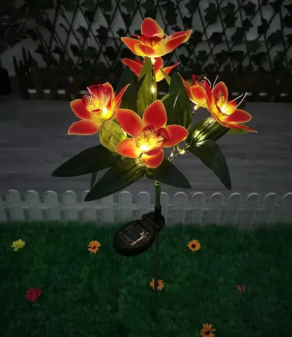 Skorter | Solarspectra - 7-Cup Solar Lamp