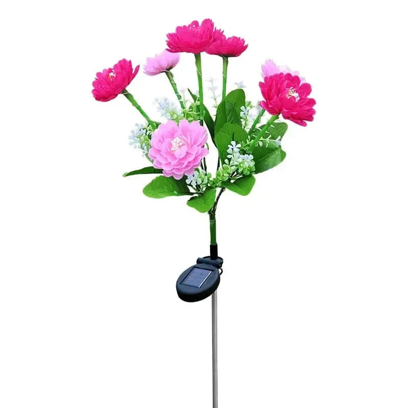 Skorter | Solarspectra - 7-Cup Solar Lamp