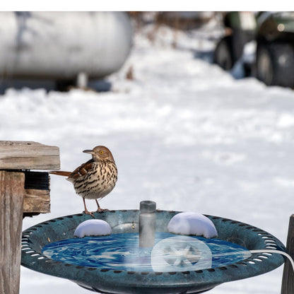 Skorter | 70W Bird Bath Insulating Aluminum Body Hot Water with Thermostat Automatic Shutdown