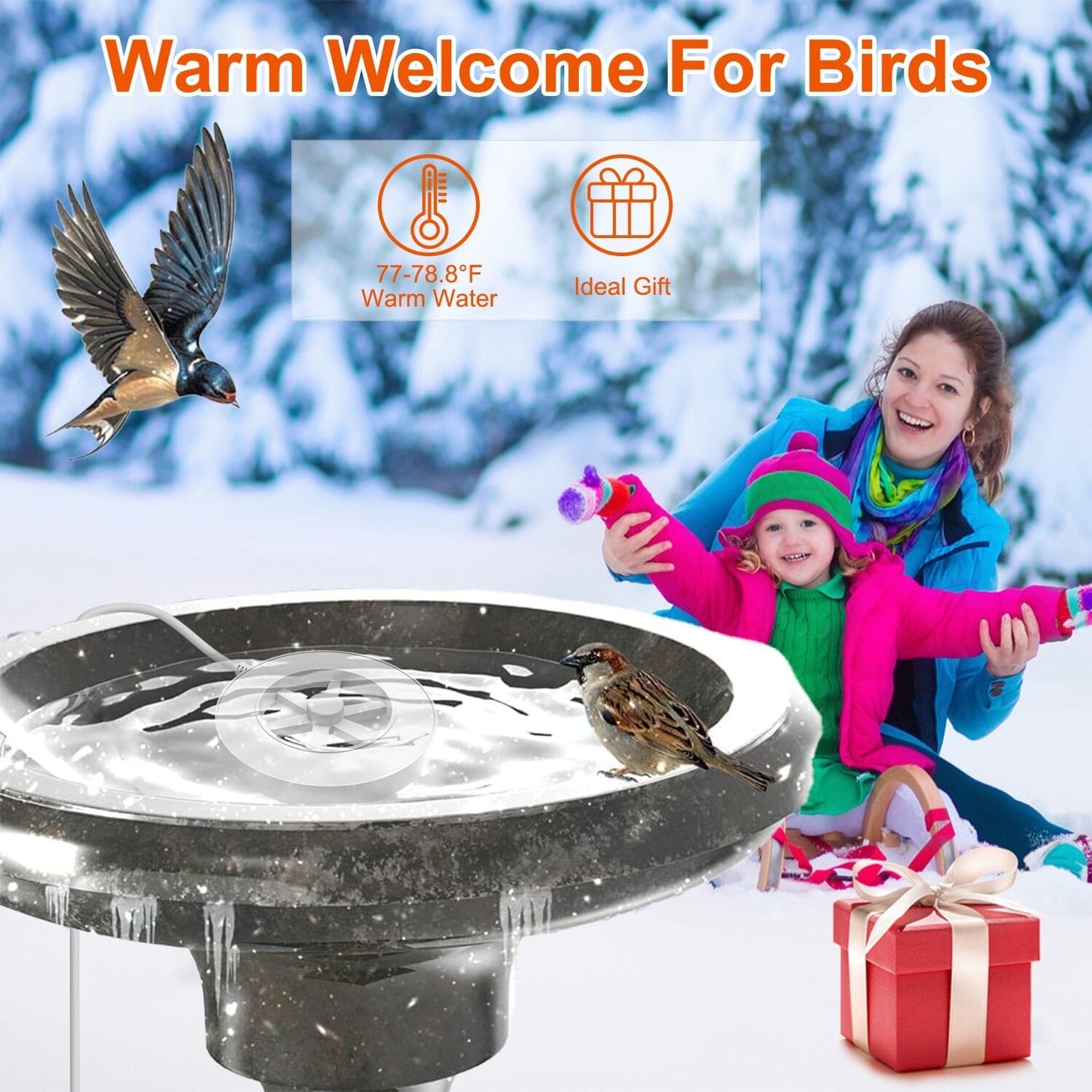 Skorter | 70W Bird Bath Insulating Aluminum Body Hot Water with Thermostat Automatic Shutdown