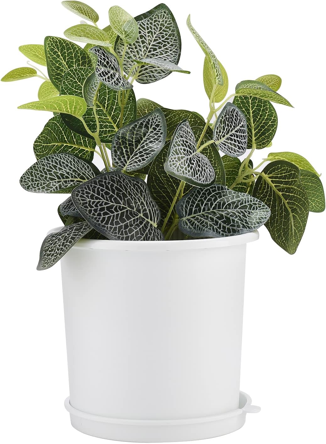 Skorter | Breathable Root Control Pot for Plants – Ideal for Healthy Growth and Optimal Aeration