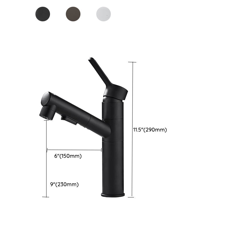 Skorter | Bathroom Vessel Faucet Swivel Spout Single Handle Faucet with Pull-Out Spray Head