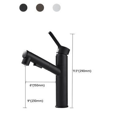 Skorter | Bathroom Vessel Faucet Swivel Spout Single Handle Faucet with Pull-Out Spray Head