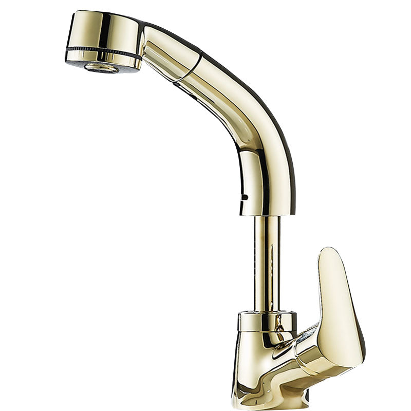 Skorter | Vessel Sink Bathroom Faucet with Swivel Spout Single Handle Faucet with Pull-Out Spray
