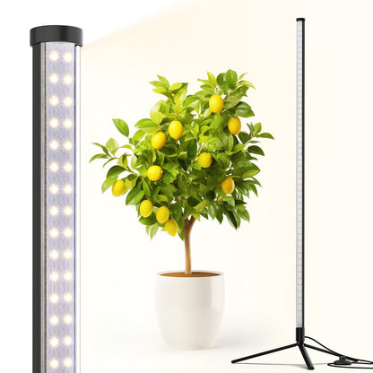 Skorter | Barrina 42W Full Spectrum Led Grow Light, 4Ft Height, Daylight White, Stand
