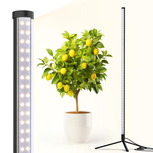 Skorter | Barrina 42W Full Spectrum Led Grow Light, 4Ft Height, Daylight White, Stand