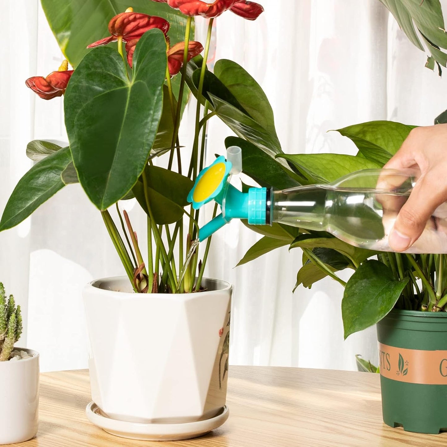 Skorter | Flower-shaped Plant Sprayer – Creative Watering Aid for Plants in the Garden
