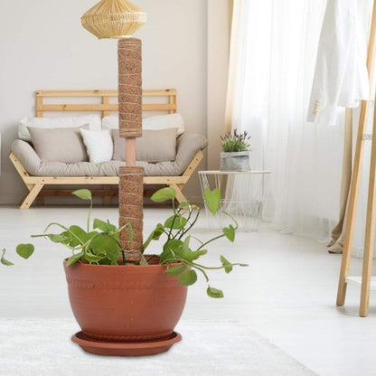 Skorter | Coconut moss stick for climbing plants – Natural climbing aid for houseplants and garden