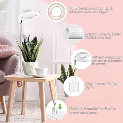 Skorter | Ej'S Super Car Indoor Plant Growth Light, Adjustable LED Lamp with Timer & 4 Brightness Levels, 2 Pack