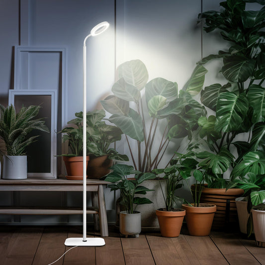 Skorter | Mistyjungle Growth Light For Indoor Plants, Floor Full Spectrum Plant Light With Stand, Large Grow Lights With Automatic Timer, 60 Inches Height Adjustable, 10 Level Dimmable, White Halo Led Growth Lamp
