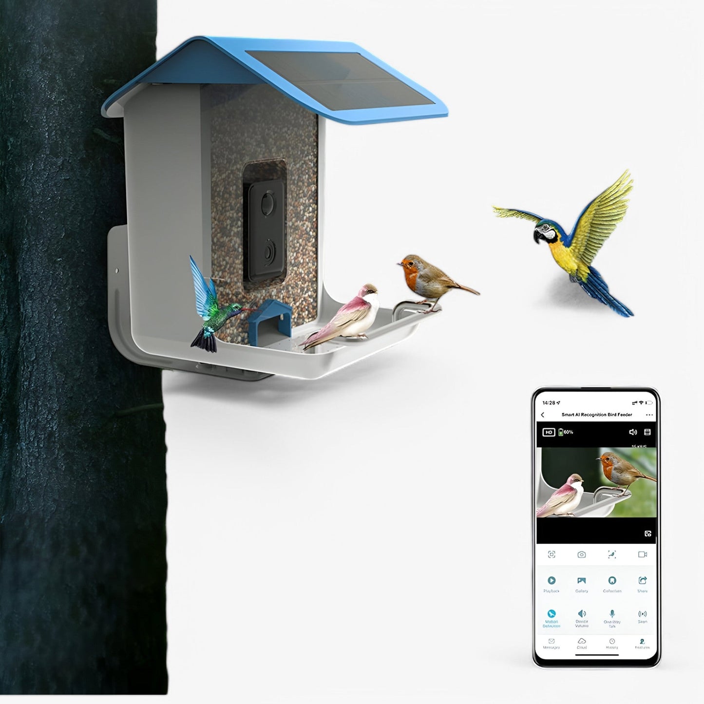 Skorter | Auxco | Smart Bird Feeder with 1080P HD Camera, AI Bird Recognition & Solar Charging