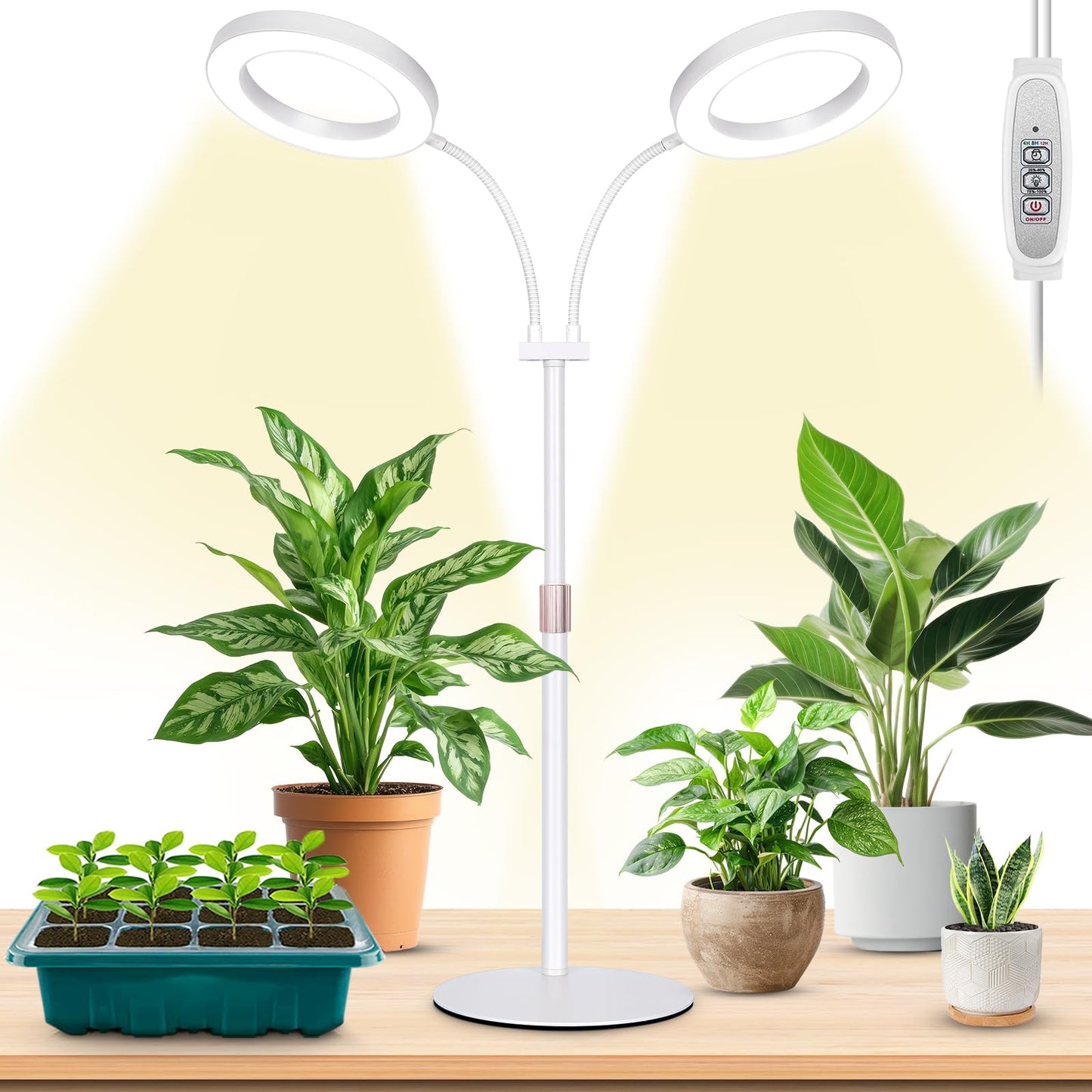 Skorter | Lbw Halo Plant Growth Light, Dual-Head Desk Growth Light For Indoor Plants, 72X2 Leds Full Spectrum Growth Lamp With 4/8/12H Automatic Timer, 4-Level Brightness, Flexible Goose Neck, Height Adjustable, White