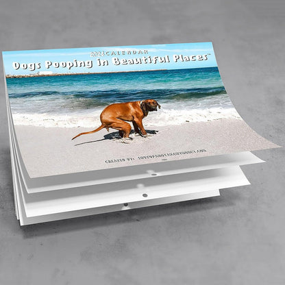 skorter | 2024 Funniest Calendar-Dogs Pooping In Beautiful Places | "Artistic Expression" Furry Friends