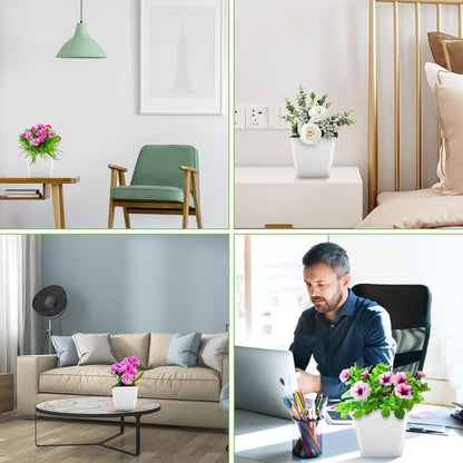 Skorter | Flower pot with irrigation system – Self-watering plant pot for indoor and outdoor use