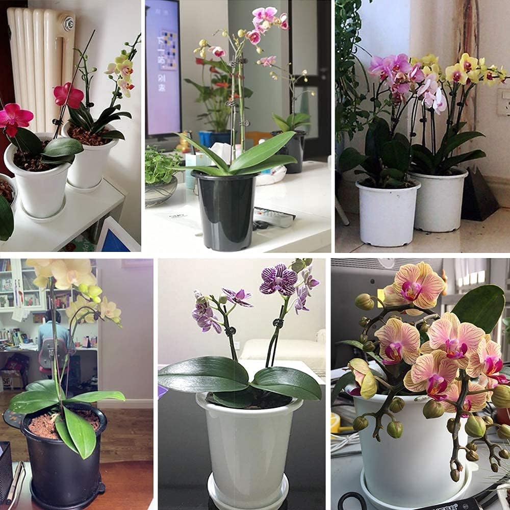 Skorter | Breathable Root Control Pot for Plants – Ideal for Healthy Growth and Optimal Aeration