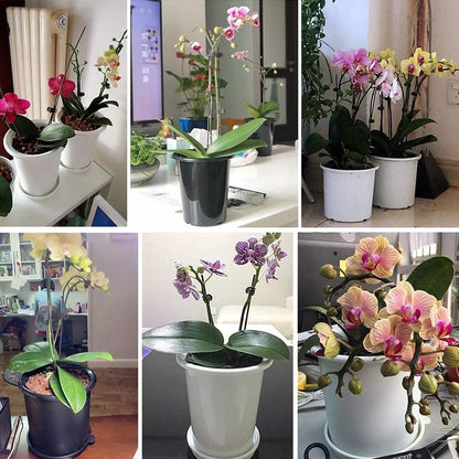 Skorter | Breathable Root Control Pot for Plants – Ideal for Healthy Growth and Optimal Aeration