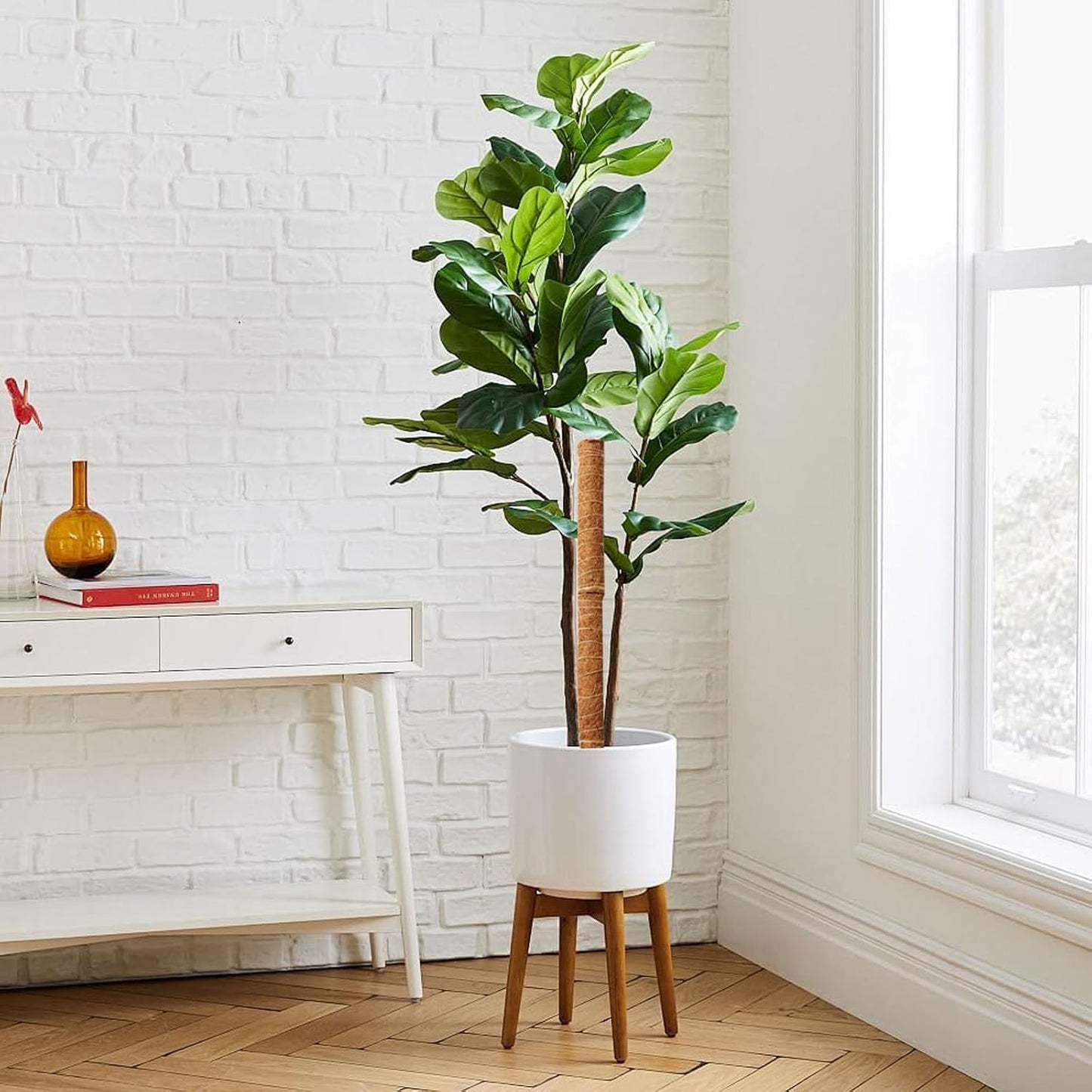 Skorter | Coconut moss stick for climbing plants – Natural climbing aid for houseplants and garden