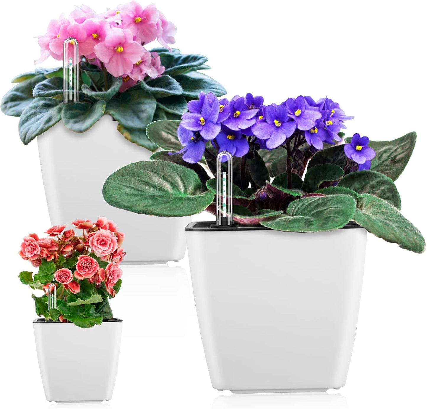 Skorter | Flower pot with irrigation system – Self-watering plant pot for indoor and outdoor use