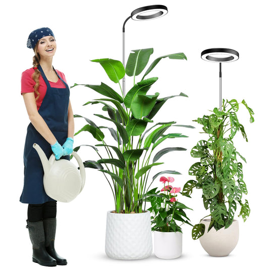 Skorter | Wolezek Growth Light For Indoor Plants Full Spectrum, 80 LEDs 3 Color Growth Light, 65In Plant Light For Indoor Growth With 360° Goose Necks, 6/12/16H Timer, 5 Brightness Levels, Height Adjustable, Black Pair