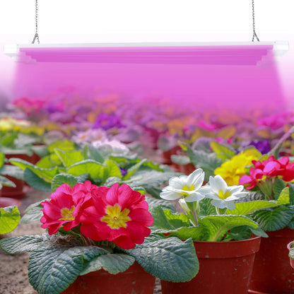 Skorter | Antlux 4Ft Led Grow Light 50W Full Spectrum for Hydroponics & Indoor Plants, Plug-In