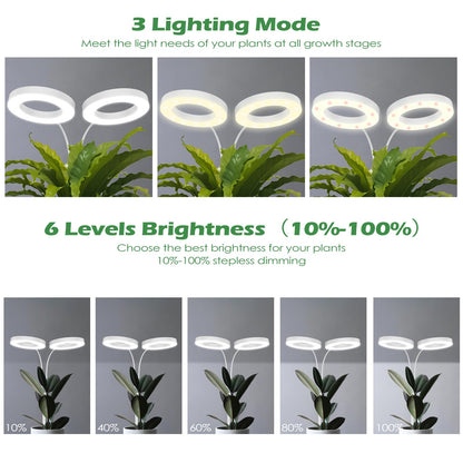 Skorter | Pronoro 2-Head LED Grow Light, Full Spectrum, Adjustable Height, Timer & Dimming For Indoor Plants