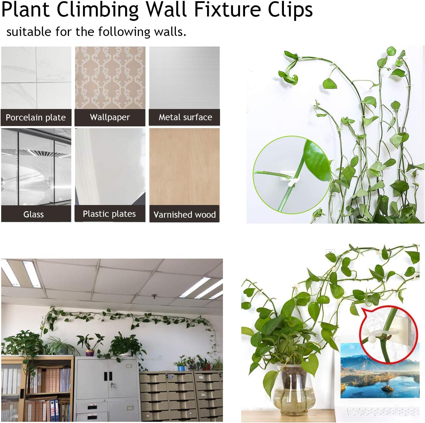 Skorter | Climbing Wall Mounting Clips – Practical Plant Holders for Wall Decoration