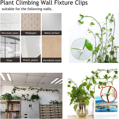 Skorter | Climbing Wall Mounting Clips – Practical Plant Holders for Wall Decoration