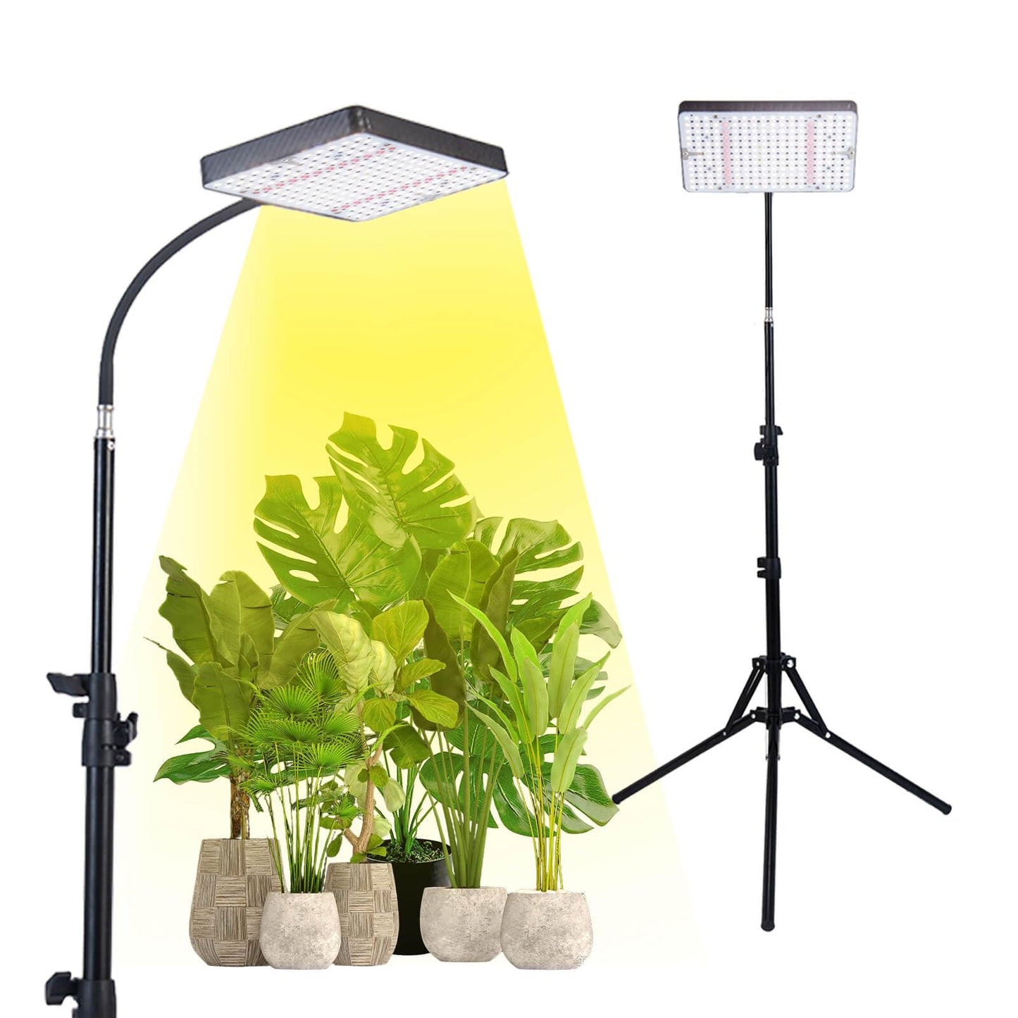 Skorter | Grocruiser Tall Bonsai Tree Grow Light With Stand, 25 Watt Standing Plant Growing Lamps For Large Houseplants, Adjustable 12"-48" Tripod Stand Grow Light, Daisy Chain Function, On/Off Switch