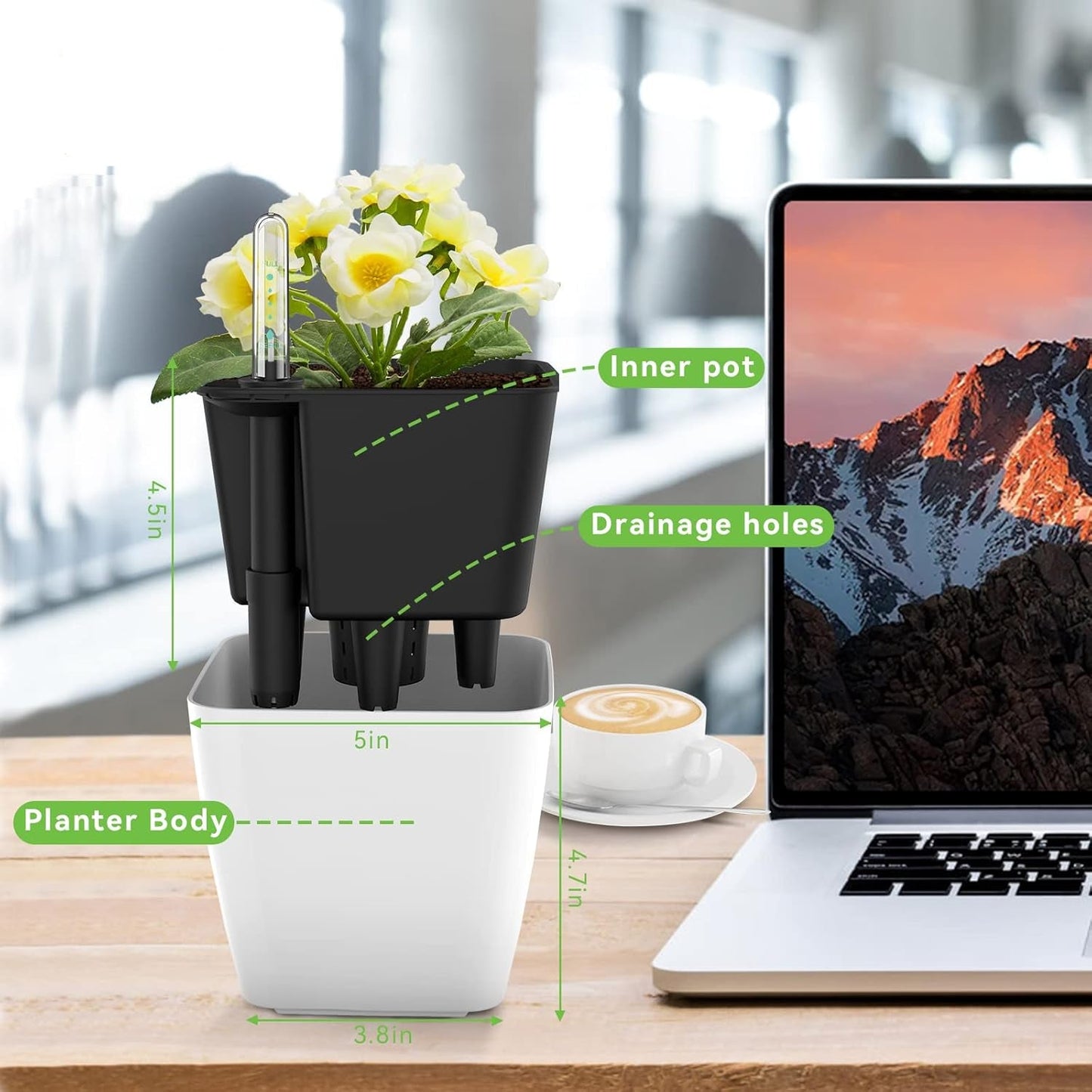 Skorter | Flower pot with irrigation system – Self-watering plant pot for indoor and outdoor use