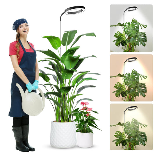 Skorter | Wolezek Growth Light For Indoor Plants Full Spectrum, 80 Leds 3 Colors Grow Light, 65In Tall Plant Light For Indoor Growth With 360° Goose Neck, 6/12/16H Timer, 5 Brightness Levels, Height Adjustable, Black