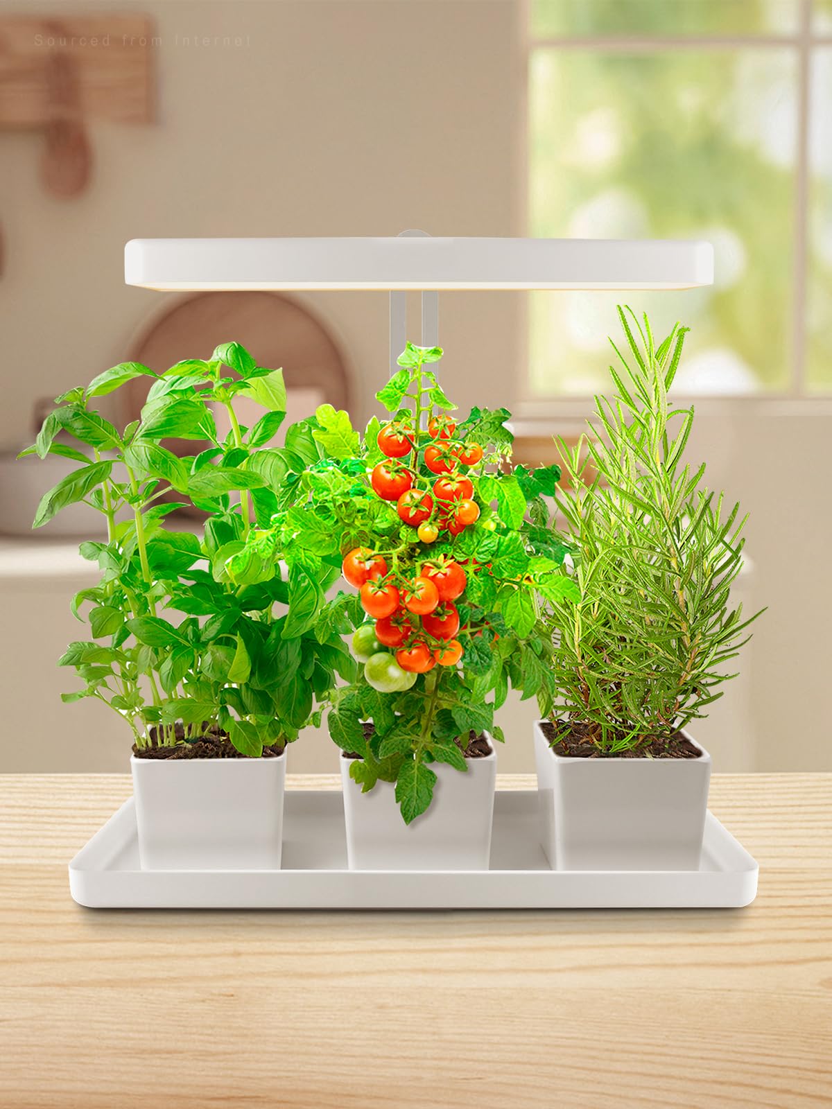 Skorter | Torchstar Indoor Herb Garden With Led Grow Light, Height Adjustable, 20W Growing System With Automatic Timer, Cri 95+, Full Spectrum Plant Lighting For Seeds, Vegetation, Home, White, No Pot Or Plants