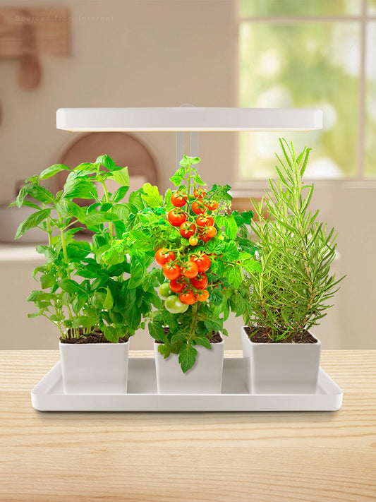 Skorter | Torchstar Indoor Herb Garden With Led Grow Light, Height Adjustable, 20W Growing System With Automatic Timer, Cri 95+, Full Spectrum Plant Lighting For Seeds, Vegetation, Home, White, No Pot Or Plants