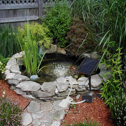 Skorter | Solar Powered Air Pump Kit 2.5W with Hoses and Stones