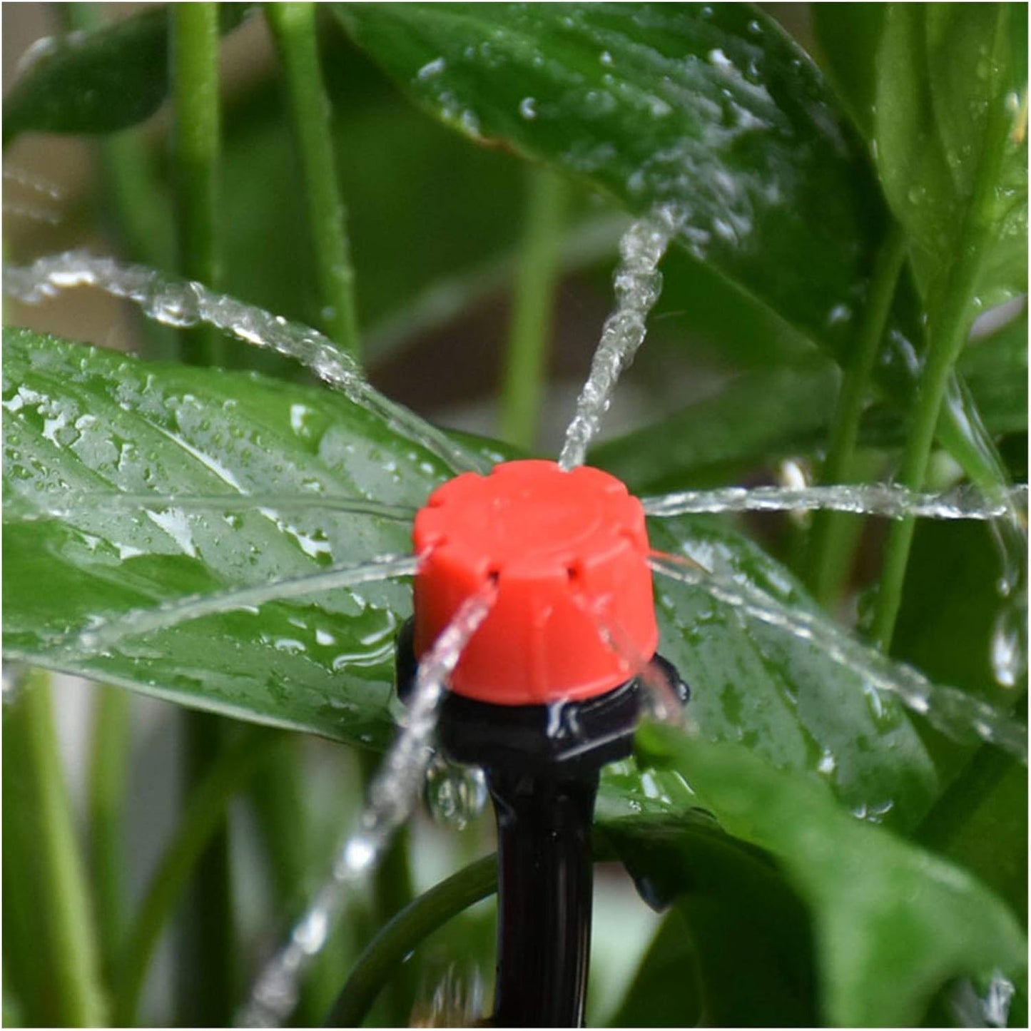 Skorter | Automatic drip irrigation system for plants – Complete set for garden and balcony