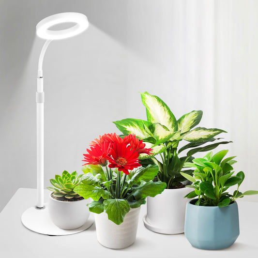 Skorter | Grow Light For Indoor Plants, Red Blue Yellow Full Spectrum Desktop Lite LED Halo Plant Grow Lights With Stand, Automatic Timer, 24.2 Inches Height Adjustable, 10 Dimmable Levels, 3 Light Settings, Mini