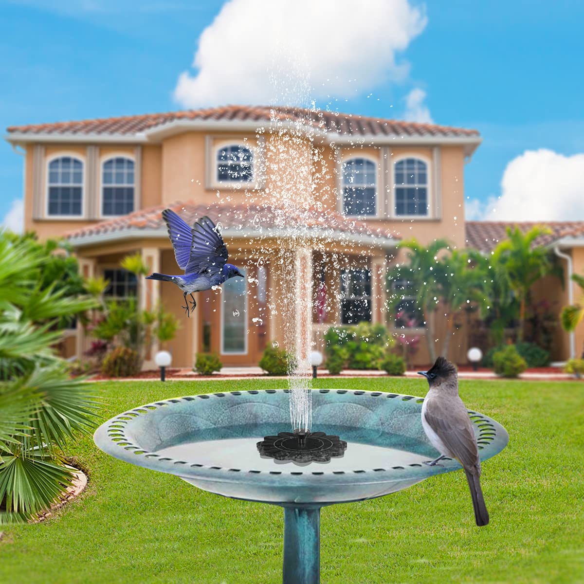 Skorter | Solar-powered fountain for the garden – Flower design water feature for ponds and pools