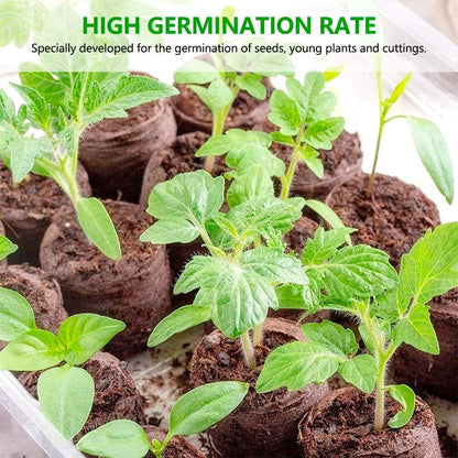 Skorter | Coconut Fiber Peat Seedling Pellets – Starter for Seed Planting