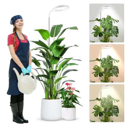Skorter | Wolezek Growth Light For Indoor Plants Full Spectrum, 80 Leds 3 Colors Growth Light, 165 cm Large Plant Light For Indoor Growth With 360°Goose Necks, 6/12/16T Timer, 5 Brightness Levels, Height Adjustable, White