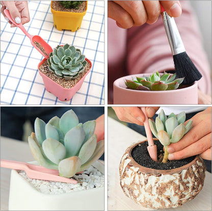 Skorter | Combination set for succulent planting tools – Practical set for care and planting