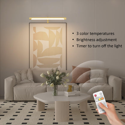 Skorter | Coinmit 16" Adjustable LED Picture Lighting, Gold Art Light with Remote Control for Paintings