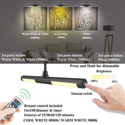 Skorter | Bigmonat Rechargeable Picture Lighting With Remote Control, Dimmable Battery-Powered Art Display Lamp, Black