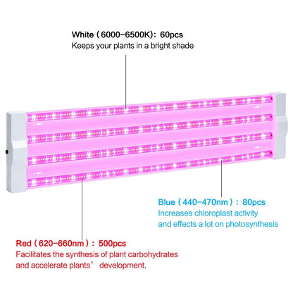 Skorter | Antlux 4Ft Led Grow Light 50W Full Spectrum for Hydroponics & Indoor Plants, Plug-In