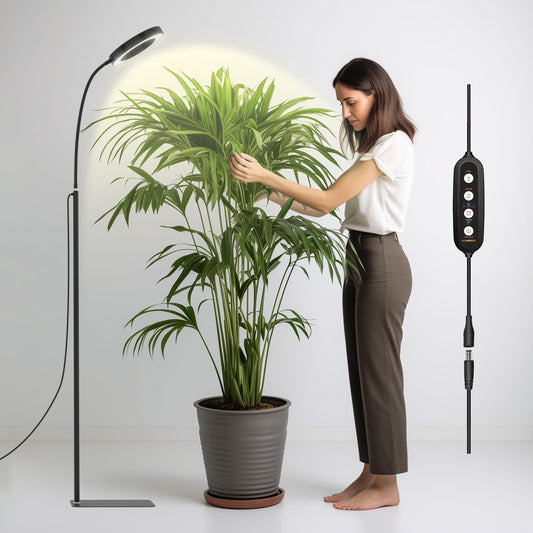 Skorter | Glowrium Growth Light For Indoor Plants, 20W Led Plant Growth Light With Automatic Timer, Full Spectrum Adjustable Height Standing Plant Growth Light, 3 Light Modes, 6-Level Dimmable (Black)