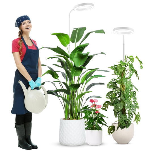 Skorter | Wolezek Growth Light For Indoor Plants Full Spectrum, 80 Leds 3 Colors Growth Light, 65 Inches Plant Light For Indoor Growth With 360° Gooseneck, 6/12/16H Timer, 5 Brightness Levels, Height Adjustable, White Pair