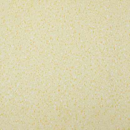 Skorter | Indoor Flooring Peel and Stick Coiled PVC 200cm Waterproof Vinyl Flooring