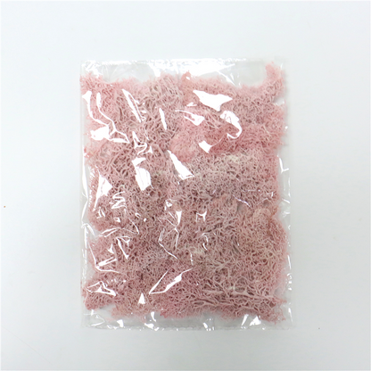 Skorter | Artificial Moss for Landscaping – Moss and Flowers for Decoration and Floristry